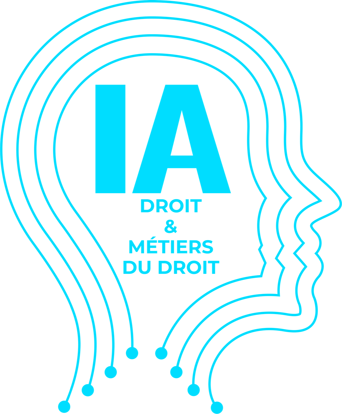 Logo IA Droit et Métiers du droit
